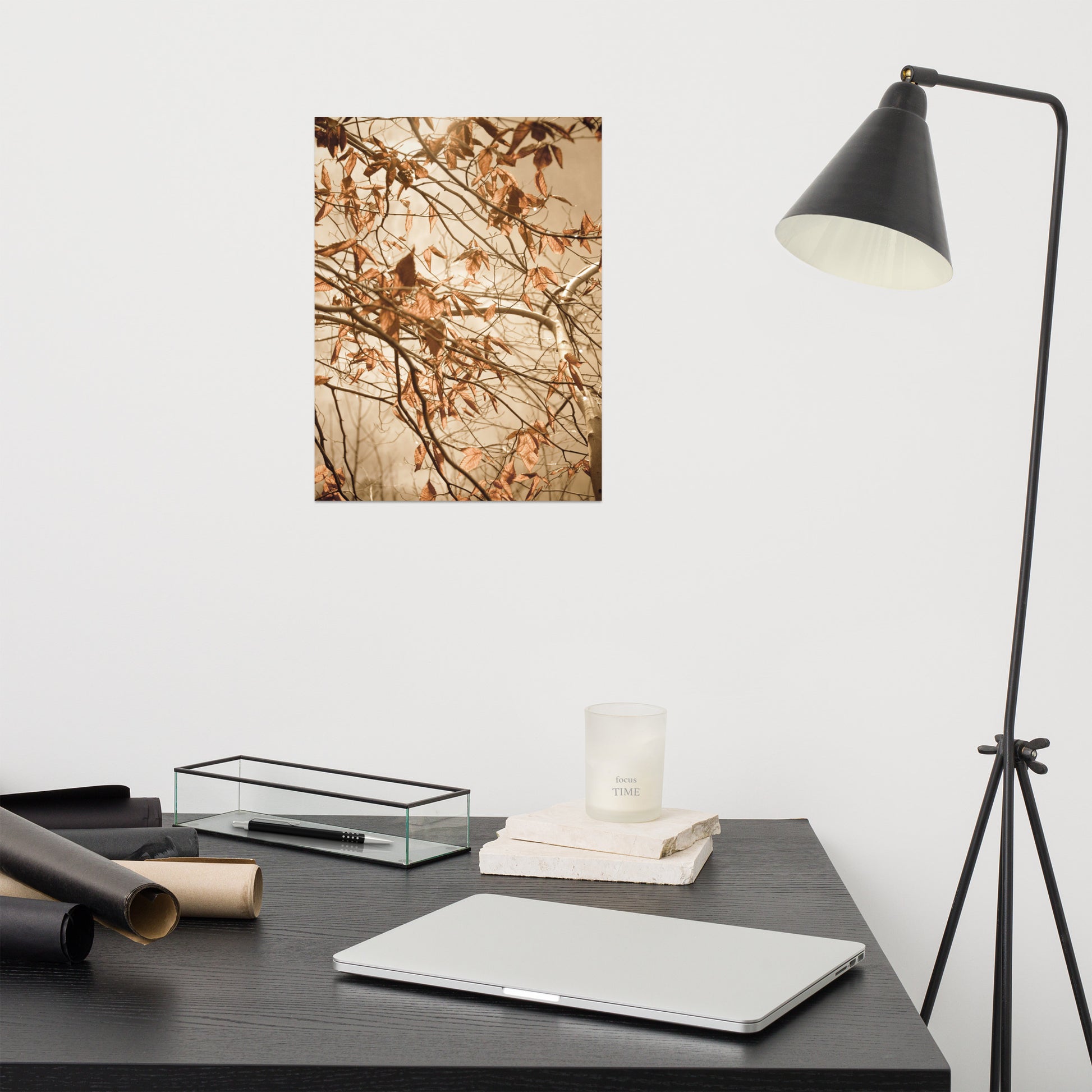 Wall Poster For Study Room: Aged Winter Leaves - Botanical / Plants / Nature Photograph Loose / Unframed / Frameless / Frameable Wall Art Print - Artwork