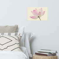 Lotus Flower Creamy Haze Effect Floral Nature Photo Loose Flower Wall Art Print