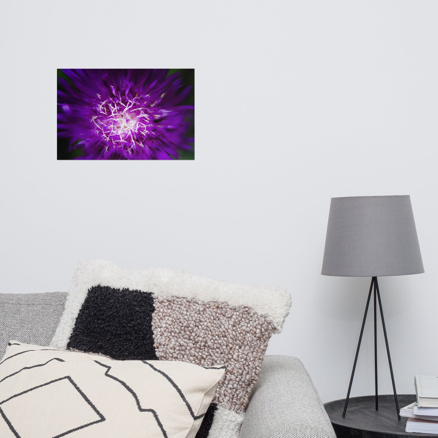 Living Room Wall Art Nature: Dark Purple and White Aster Bloom Close-up - Botanical / Floral / Flora / Flowers / Nature Photograph Loose / Unframed / Frameless / Frameable Wall Art Print - Artwork