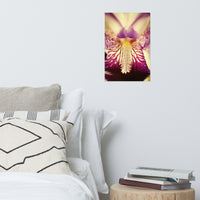 Antiqued Iris Floral Nature Photo Loose Unframed Wall Art Prints