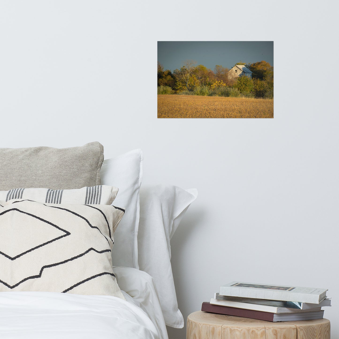 Country Style Wall Art: Abandoned Barn In The Trees Landscape Photo Loose Wall Art Prints