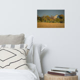 Abandoned Barn In The Trees Landscape Photo Loose Wall Art Prints