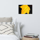 Brilliant Yellow Botanical Nature Photo Loose Unframed Wall Art Prints