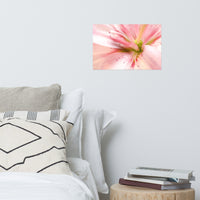 Center of the Stargazer Lily Floral Nature Photo Loose Unframed Wall Art Prints