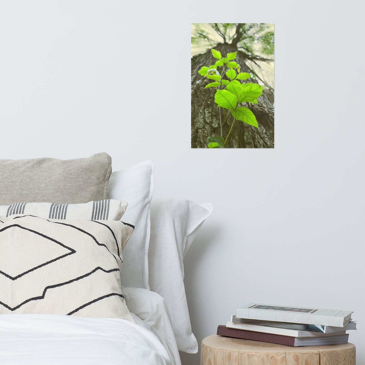 Climbing The Tree Rustic Botanical Nature Photo Loose Unframed Wall Art Prints