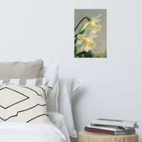 Colorized Daffodils Floral Nature Photo Loose Unframed Wall Art Prints