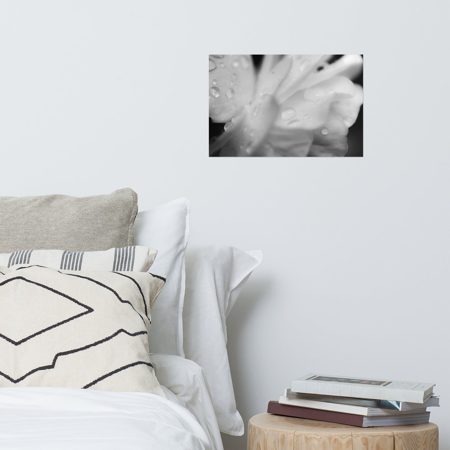 Delicate Rose Petals Black and White Floral Nature Photo Loose Unframed Wall Art Prints