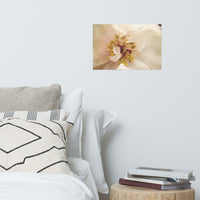 Eye of Peony Moody Midnight Floral Nature Photo Loose Unframed Wall Art Prints