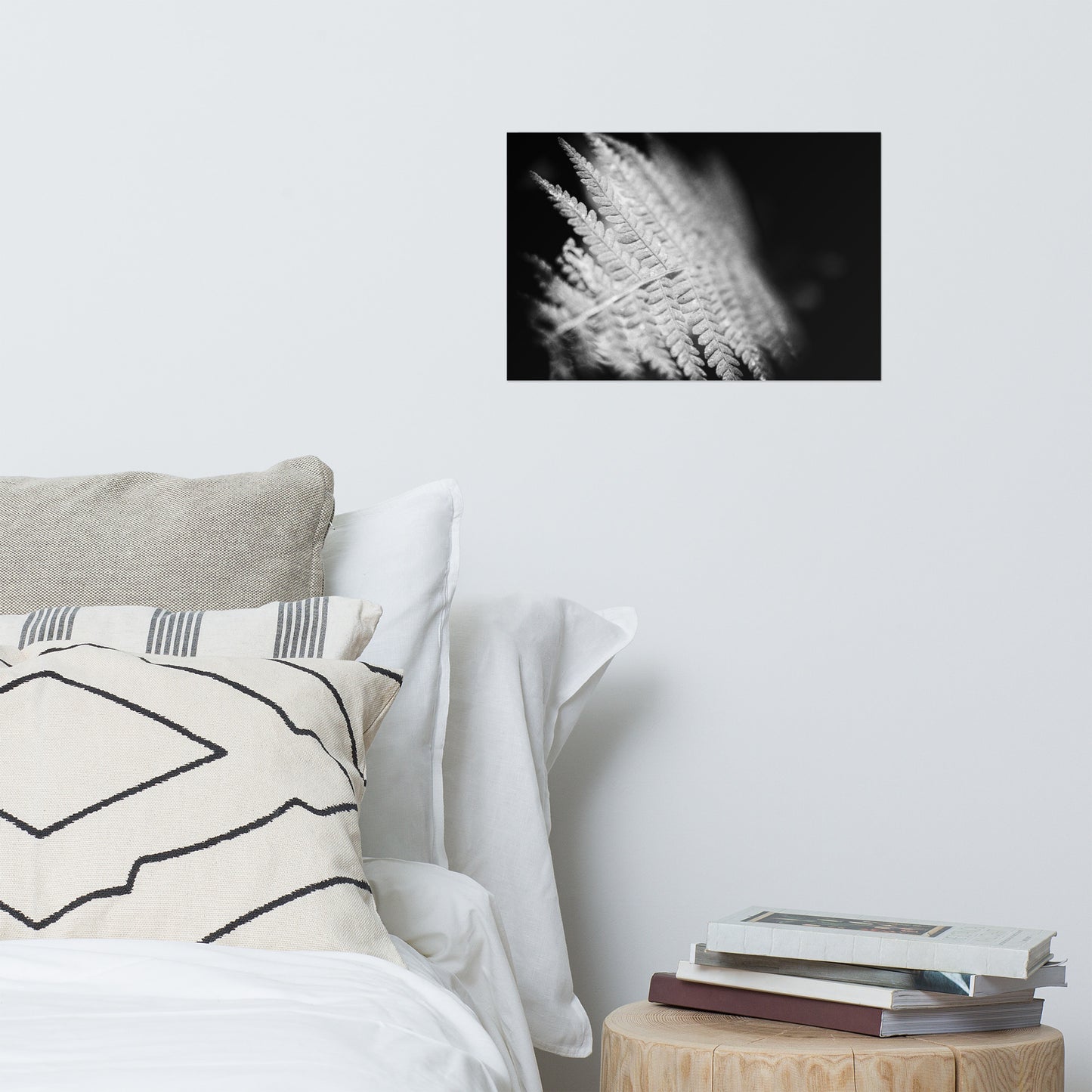 Fern Leaf In the Sunlight Black and White Botanical Nature Photo Loose Unframed Wall Art Prints