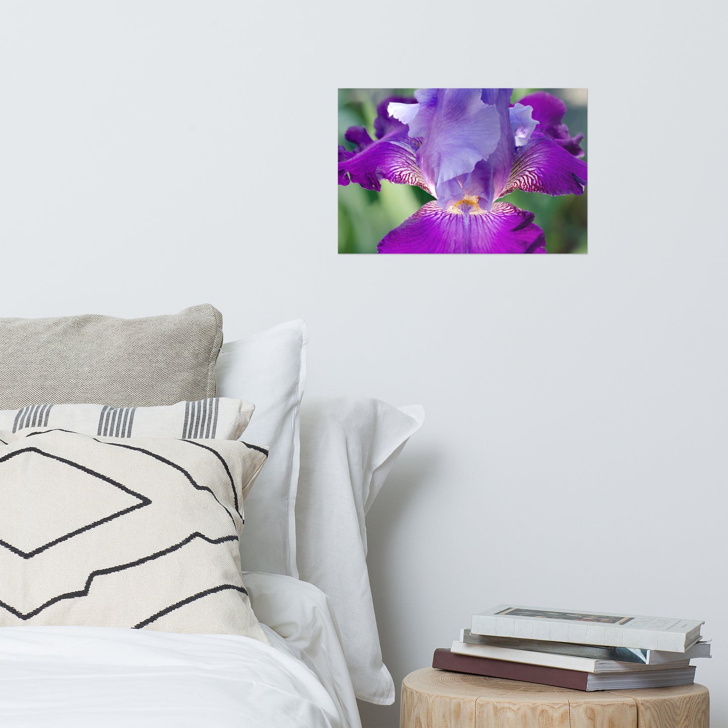 Large Room Posters: Glowing Iris - Botanical / Floral / Flora / Flowers / Nature Photograph - Loose / Frameable / Unframed / Frameless Wall Art Print - Artwork