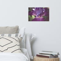 Glowing Iris Moody Midnight Floral Nature Photo Loose Unframed Wall Art Prints