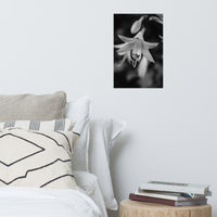 Hosta Bloom Black and White Floral Nature Photo Loose Unframed Wall Art Prints