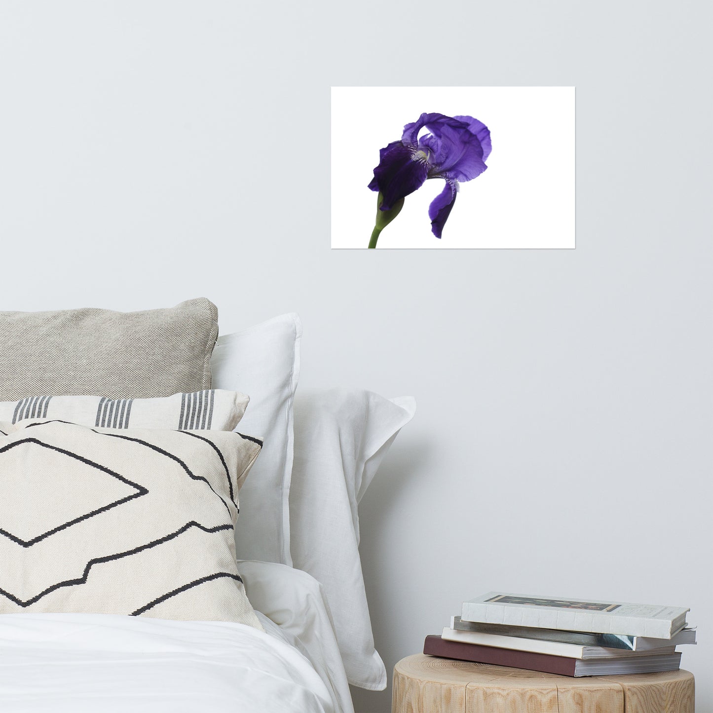 Iris On White Floral Nature Photo Loose Unframed Wall Art Prints
