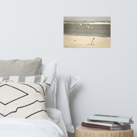Life at the Shore Wildlife Photo Loose Unframed Wall Art Prints