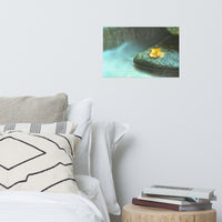 Misty Leaf Botanical Nature Photo Loose Unframed Wall Art Prints