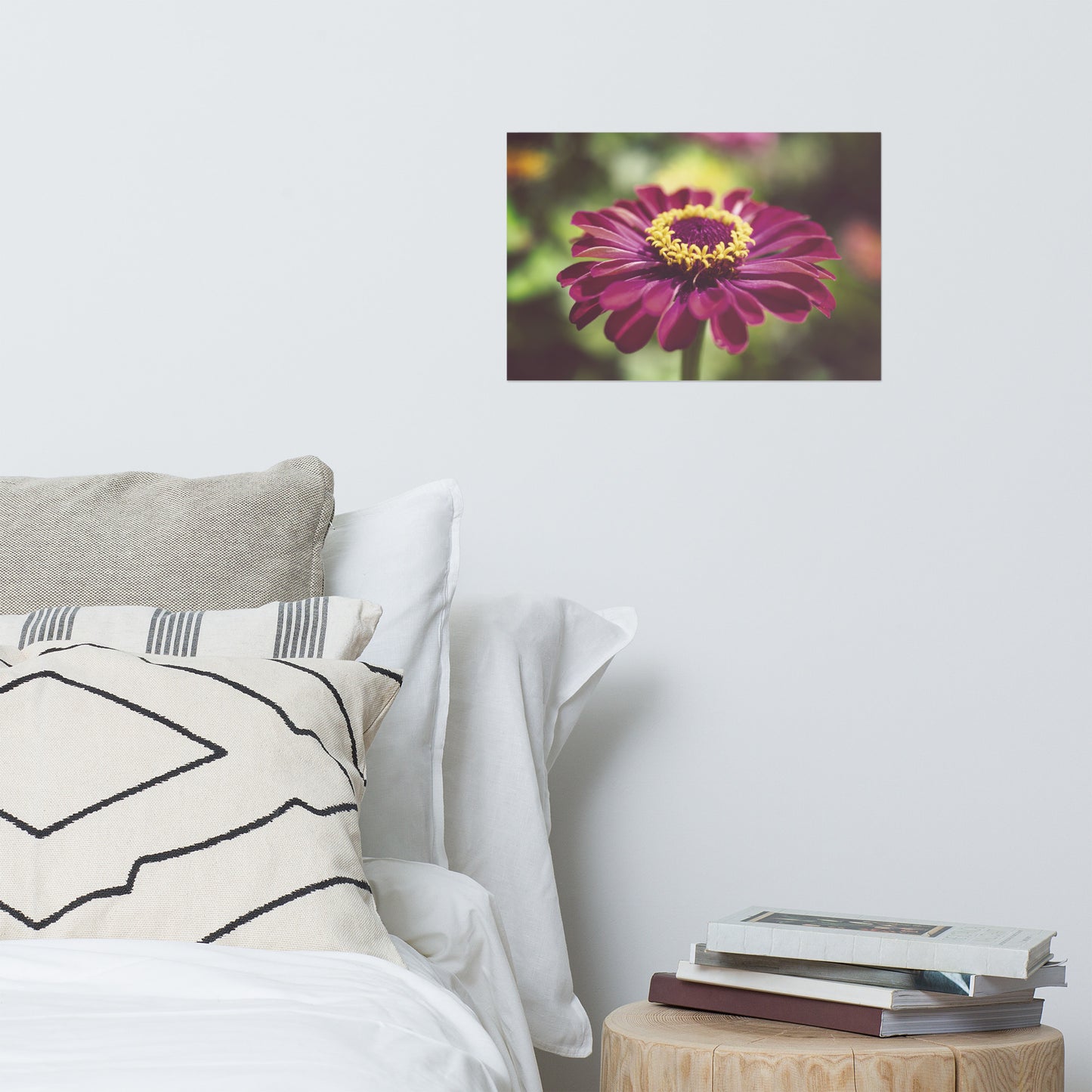 Moody Young-And-Old Age Pink Zinnia Floral Nature Photo Loose Unframed Wall Art Prints
