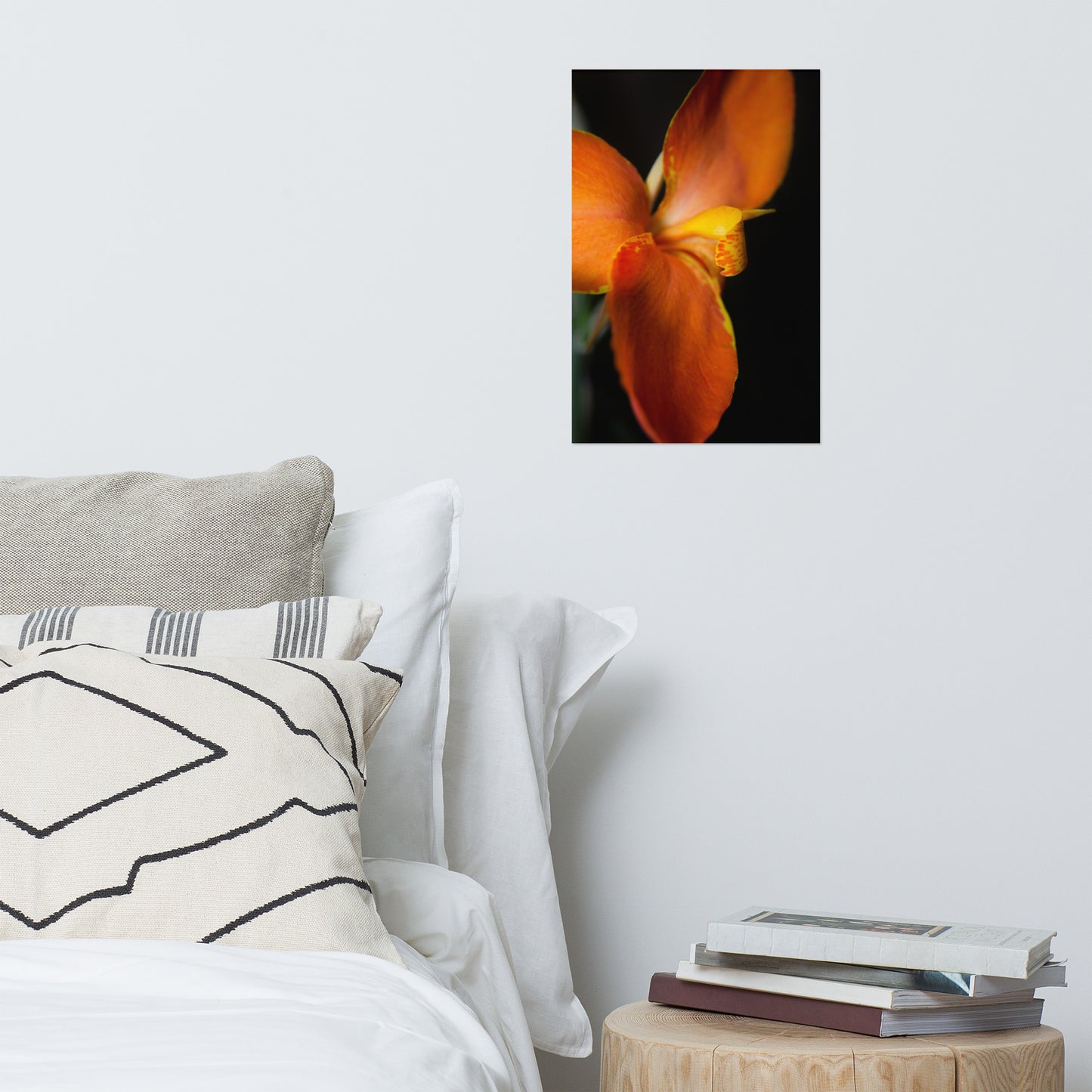 Orange Canna at Longwood Gardens Floral Nature Photo Loose Unframed Wall Art Prints