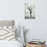 Rotting Away Alone Black and White Botanical Nature Photo Loose Unframed Wall Art Prints