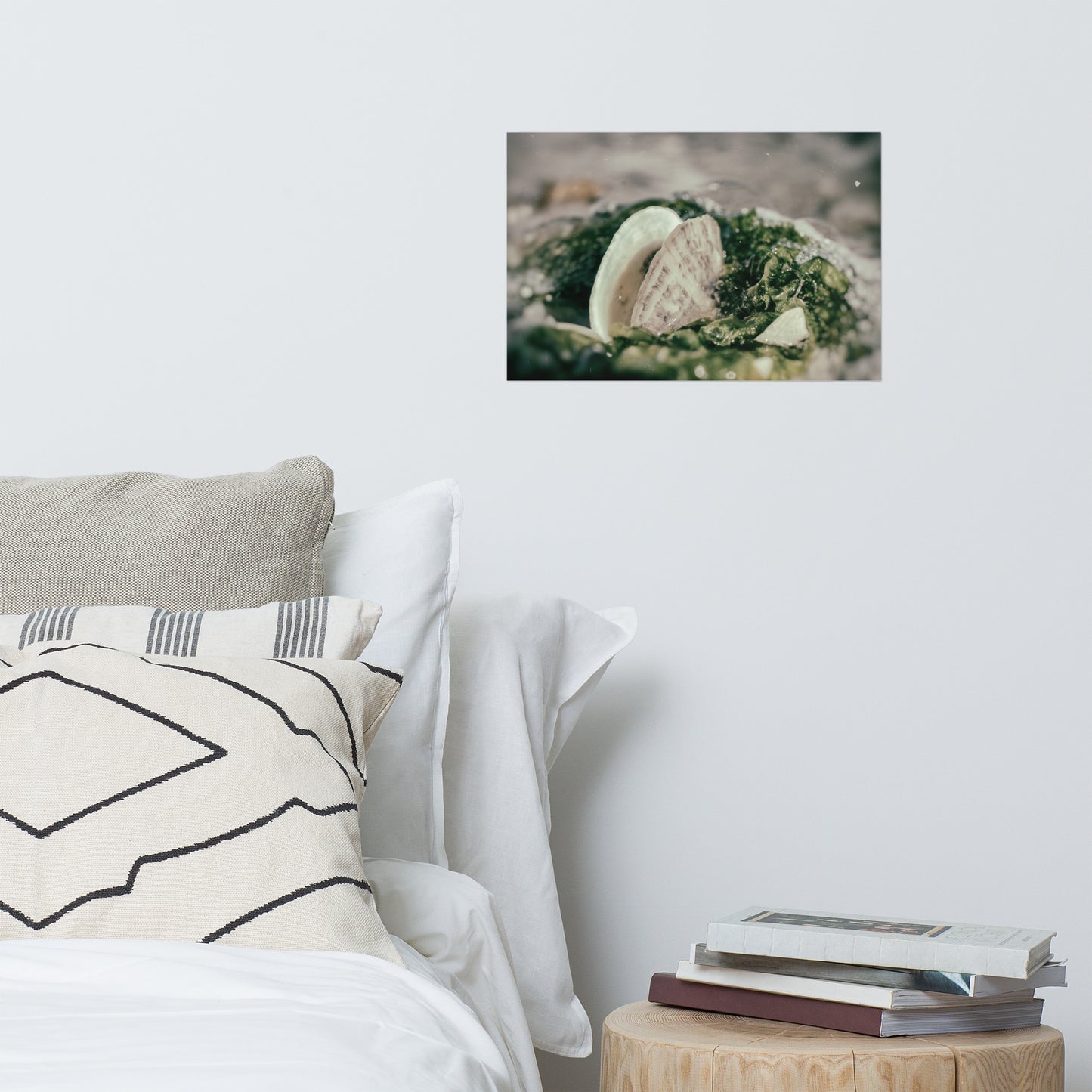 Seaweed and Shells Coastal Nature Photo Loose Unframed Wall Art Prints