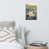 Shell at Bowers 2 Coastal Nature Photo Loose Unframed Wall Art Prints