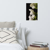 Single Snapdragon Bloom Floral Nature Photo Loose Unframed Wall Art Prints
