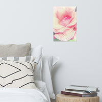Softened Rose Floral Nature Photo Loose Unframed Wall Art Prints