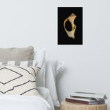 States of Erosion Image 2 Whelk Shell Coastal Nature Photo Loose Unframed Wall Art Prints