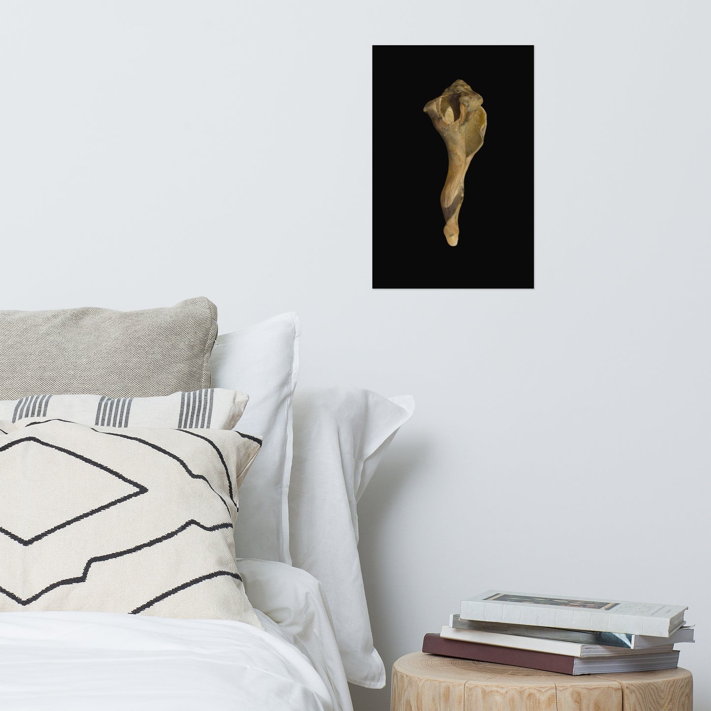 States of Erosion Image 3 Whelk Shell Coastal Nature Photo Loose Unframed Wall Art Prints