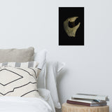 States of Erosion Image 5 Whelk Shell Coastal Nature Photo Loose Unframed Wall Art Prints