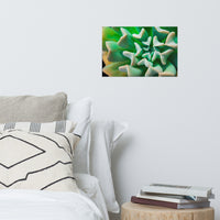 Succulent Botanical Nature Photo Loose Unframed Wall Art Prints