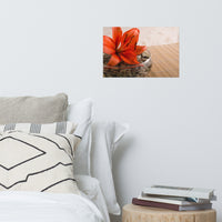 Tranquil Lily Floral Nature Photo Loose Unframed Wall Art Prints