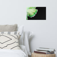 Water Droplet on Carnation Petal Floral Nature Photo Loose Unframed Wall Art Prints