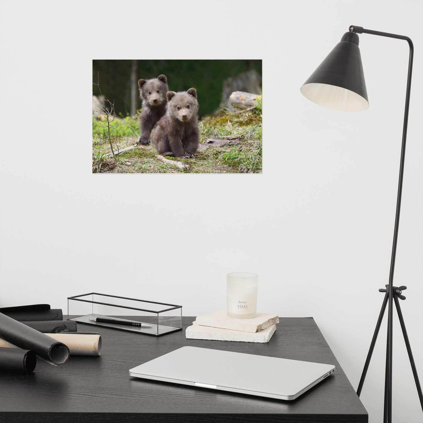 Gender Neutral Wall Art: Adorable Grizzly Bear Cubs In The Trees Animal / Wildlife / Nature Photograph - Loose / Unframed / Frameable / Frameless Wall Art Print / Artwork