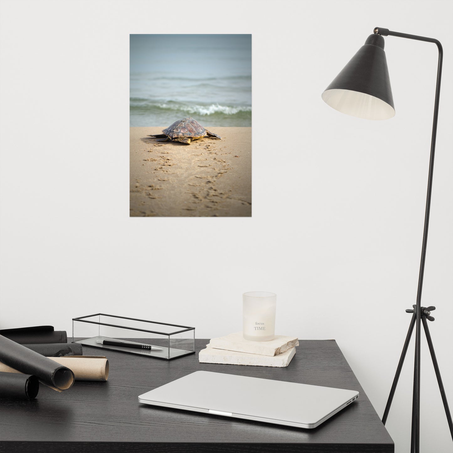 Top Photo: Sea Turtle Hatchling On The Shore Animal / Wildlife / Coastal / Nature Photograph Unframed / Loose / Frameless / Frameable Wall Art Prints - Artwork