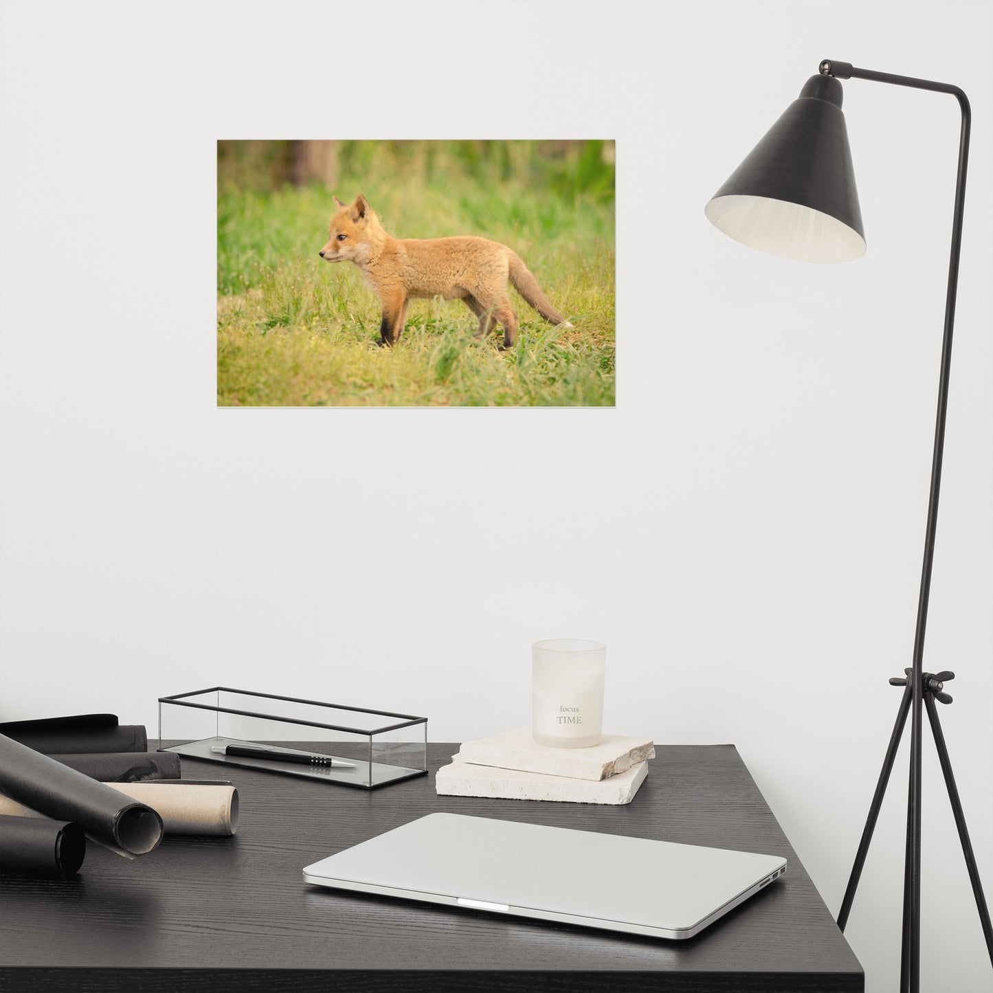 Gender Neutral Nursery Wall Art: Fox Pup In Meadow - Animal / Wildlife / Nature Photograph Loose / Unframed / Frameless / Frameable Wall Art Print / Artwork