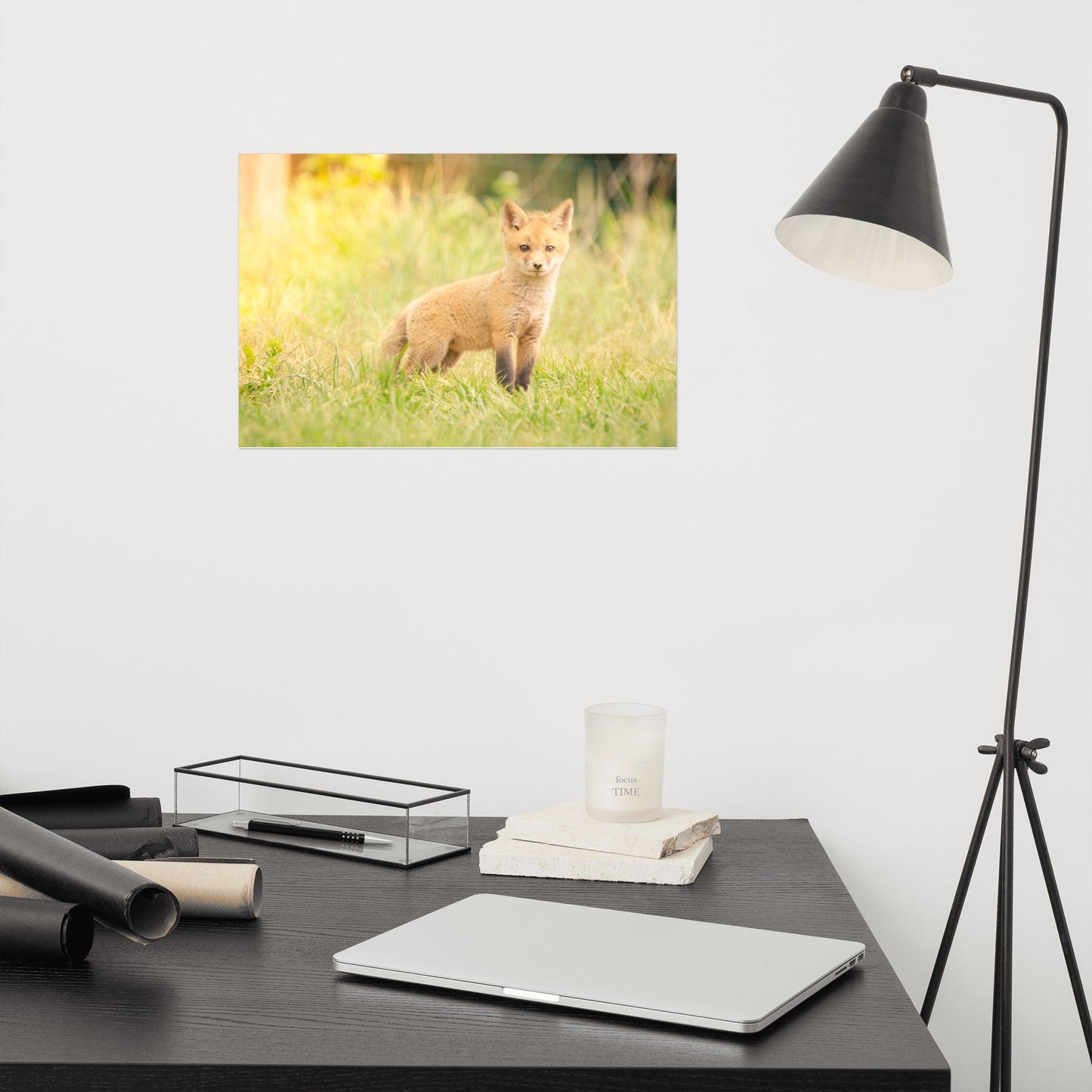 Baby Red Fox in the Sun Loose Wall Art Print