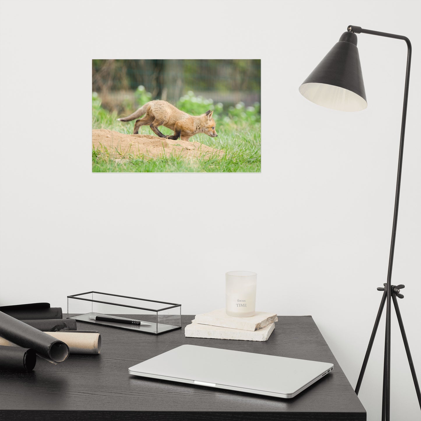 Animal Prints For Nursery: Fox Pup In Meadow Animal / Wildlife Photograph Loose / Unframed / Frameless / Frameable Wall Art Prints