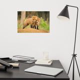 Baby Red Foxes Close to You Loose Wall Art Print