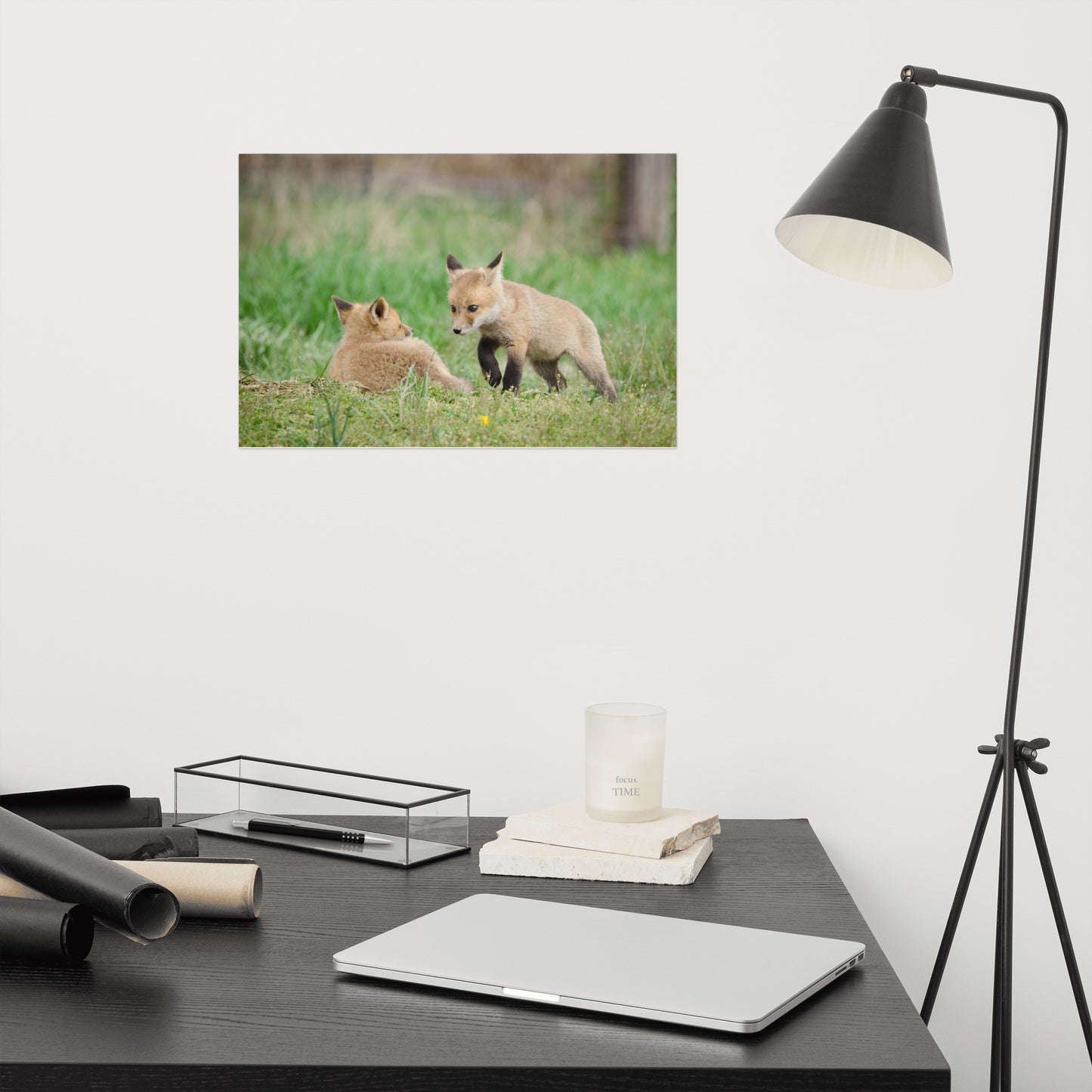 Rustic Artwork For Bedroom: Fox Pups / Kits - Coming to Get You Animal / Wildlife Photograph Loose / Unframed / Frameless / Frameable Artwork