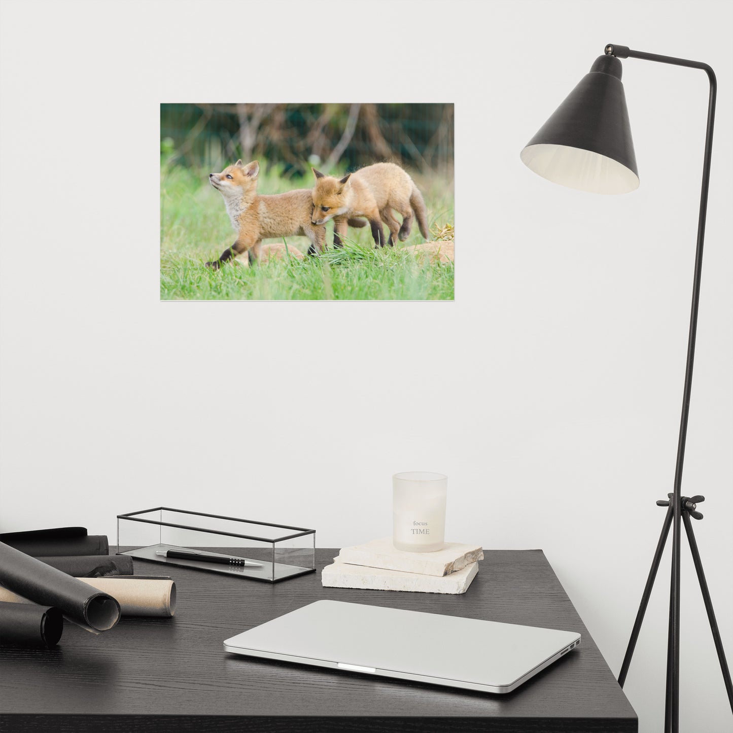 Wayfair Nursery Wall Art: Playful Red Fox Pups In Field Animal / Wildlife Photograph Loose / Unframed / Frameless / Frameable Wall Art Prints