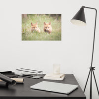 Baby Red Foxes Learning to Hunt Loose Wall Art Print