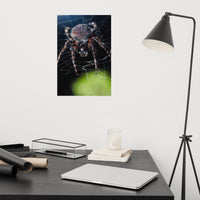 Backyard Buddy Loose Wall Art Print