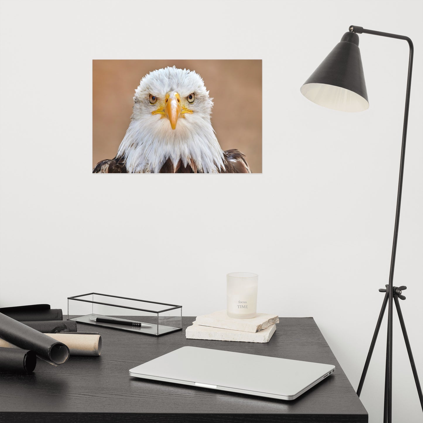 Bald Eagle Portrait Close-up 2 Loose Wall Art Print