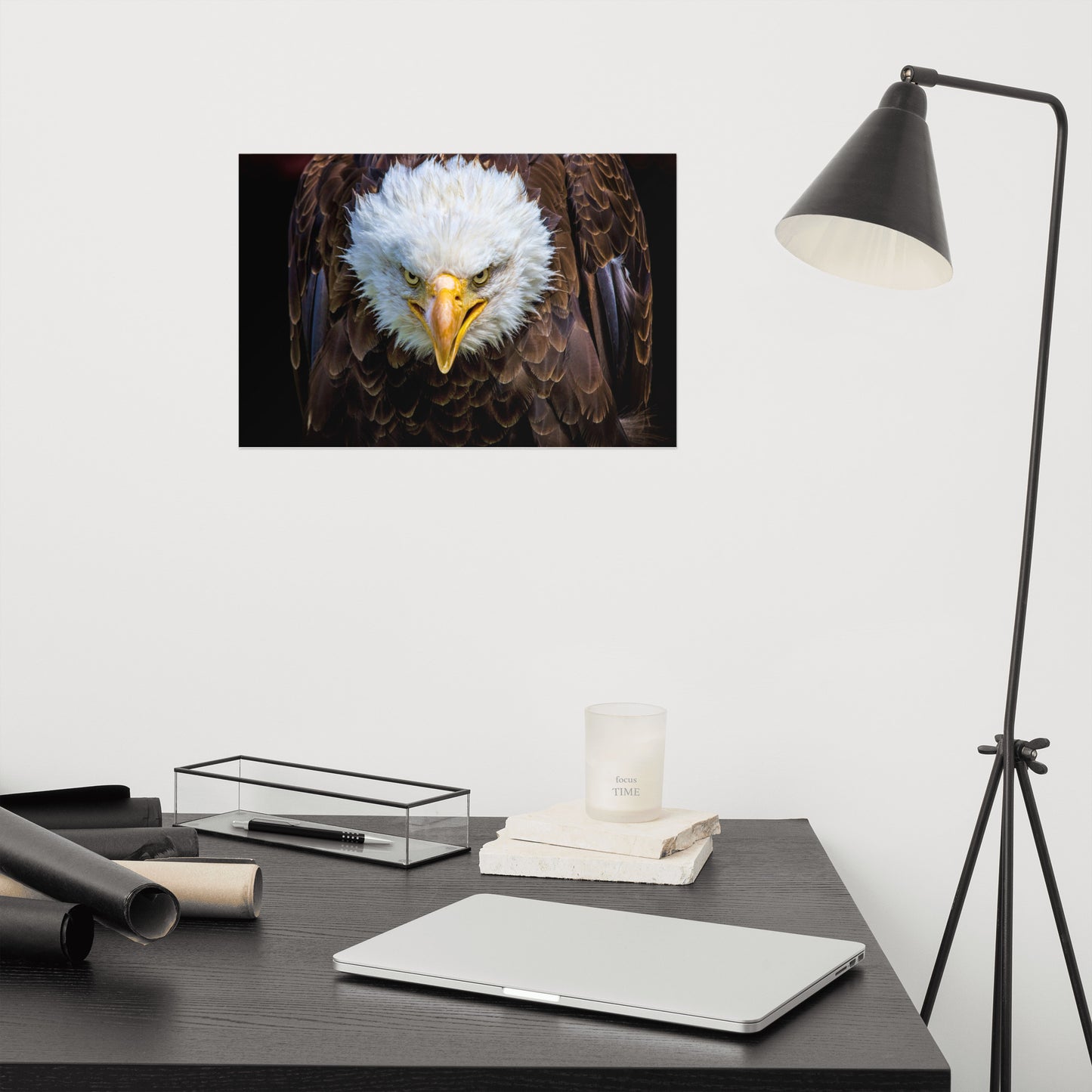 Bald Eagle Portrait Close-up Loose Wall Art Print