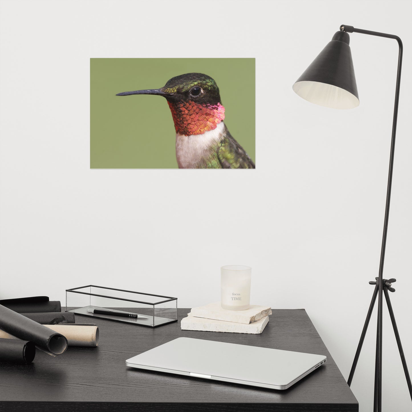 Close-up Ruby-throated Hummingbird Loose Wall Art Print