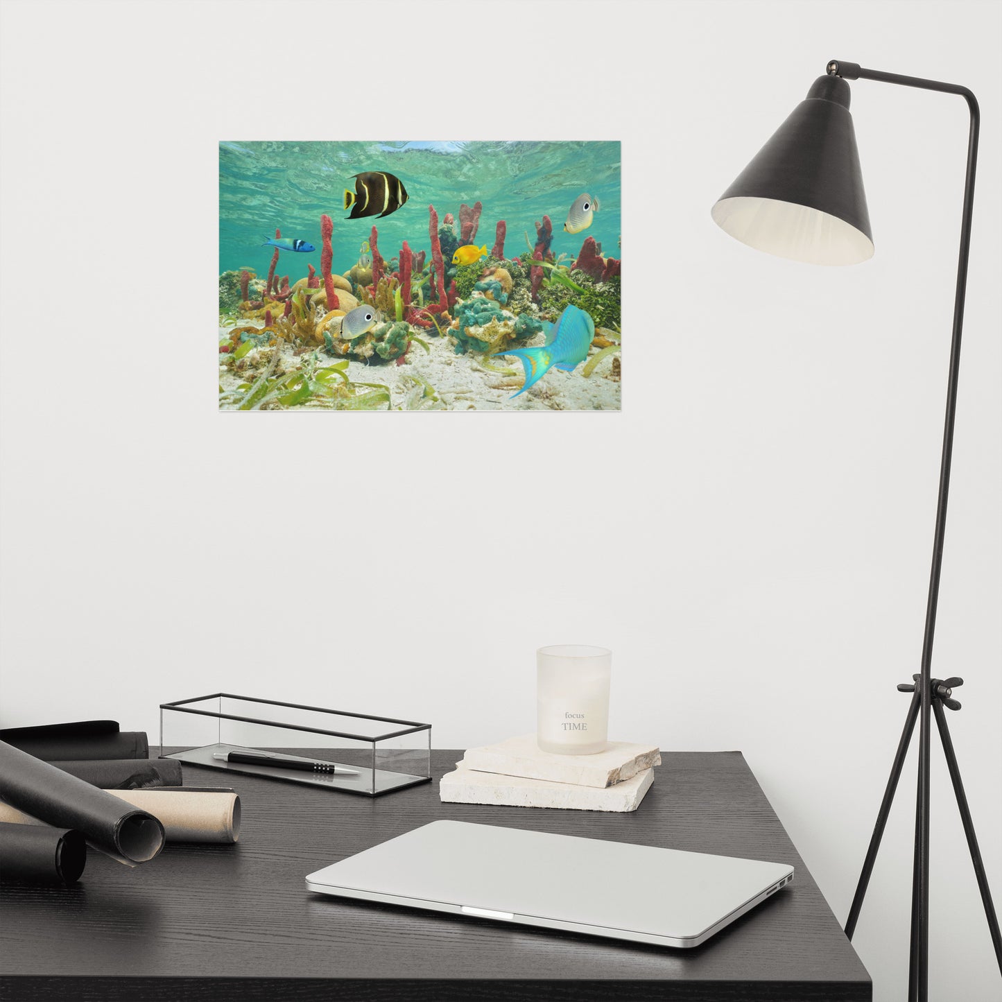 Colorful Tropical Fish - Animal Wildlife Photograph Loose Wall Art Print