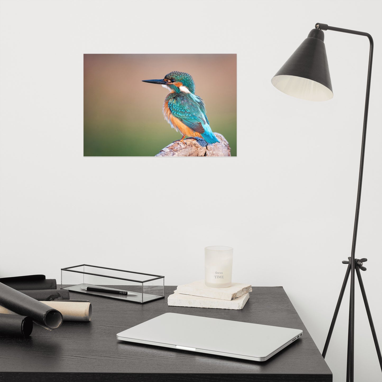 Common Kingfisher Bird on Perch Loose Wall Art Print