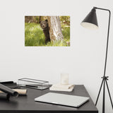 Cute Baby Grizzly Bear Cub Behind Tree In Meadow Loose Wall Art Print