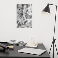 Dragonfly Black and White Loose Wall Art Print