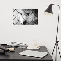 Dreams of Freedom Loose Wall Art Print